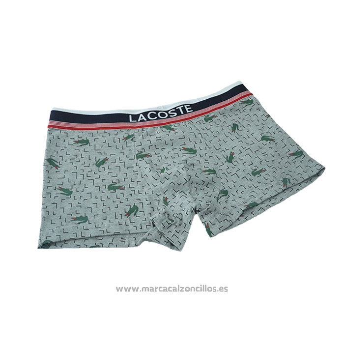 Boxer Lacoste Hombre Prints Colors Gris Verde
